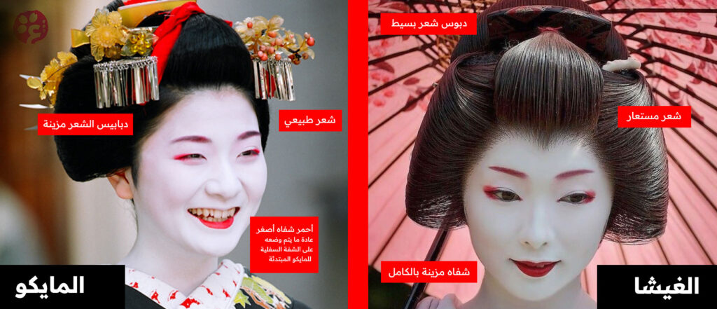 الفرق بين الغيشا والمايكو