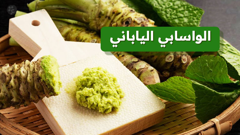 الواسابي الياباني الكنز الأخضر بين الأسطورة والعلم